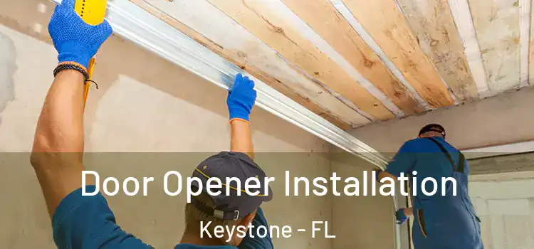 Door Opener Installation Keystone - FL