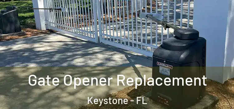 Gate Opener Replacement Keystone - FL