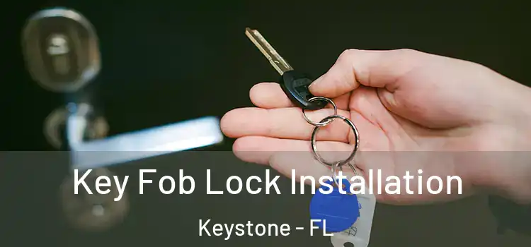 Key Fob Lock Installation Keystone - FL